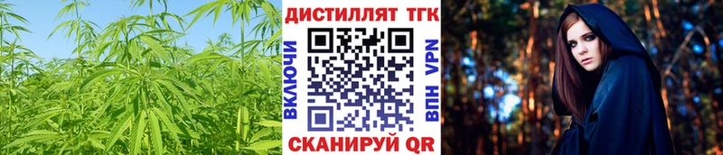 Купить закладки  Лангепас  Дистиллят ТГК Wax 